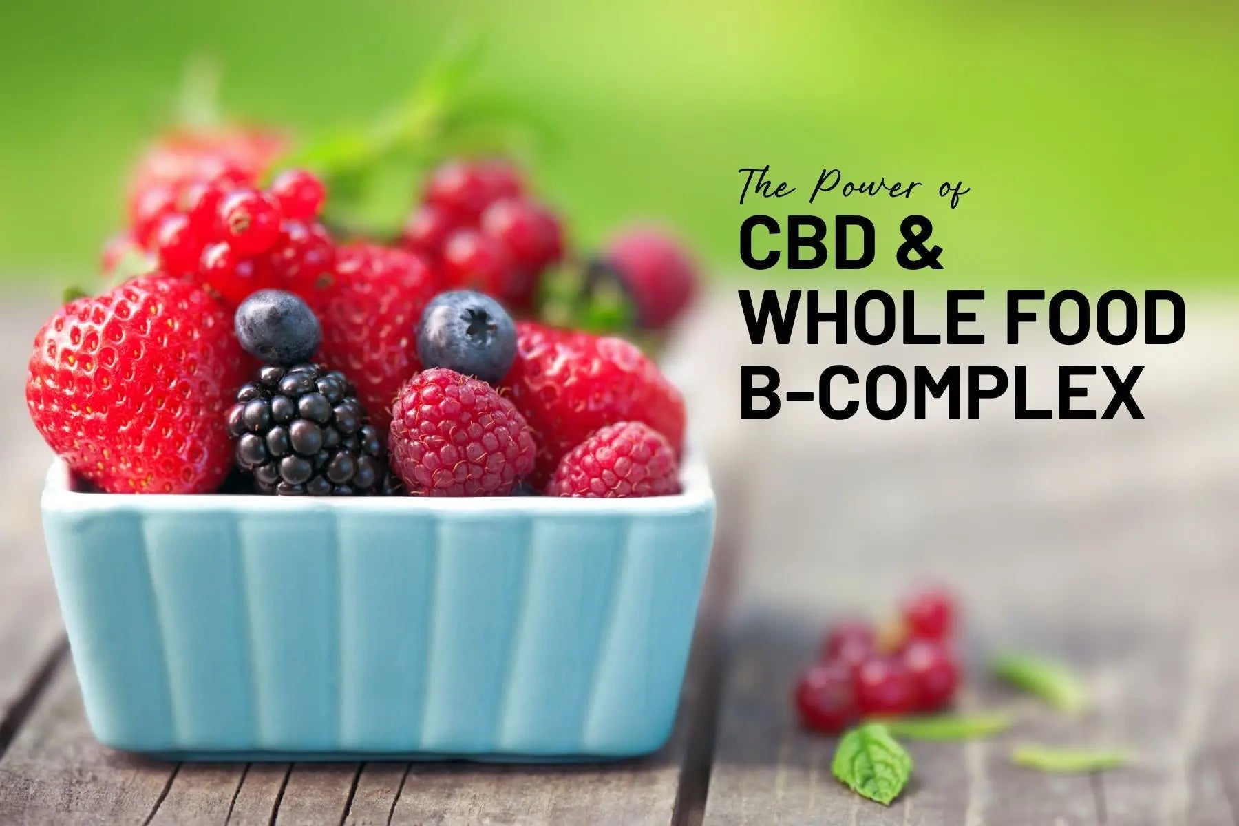 Boost-Your-Wellness-Naturally-Unveiling-the-Power-of-CBD-and-Mother-Earth-s-Organic-Whole-Food-B-Complex-Tablets Mother Earth Natural Health
