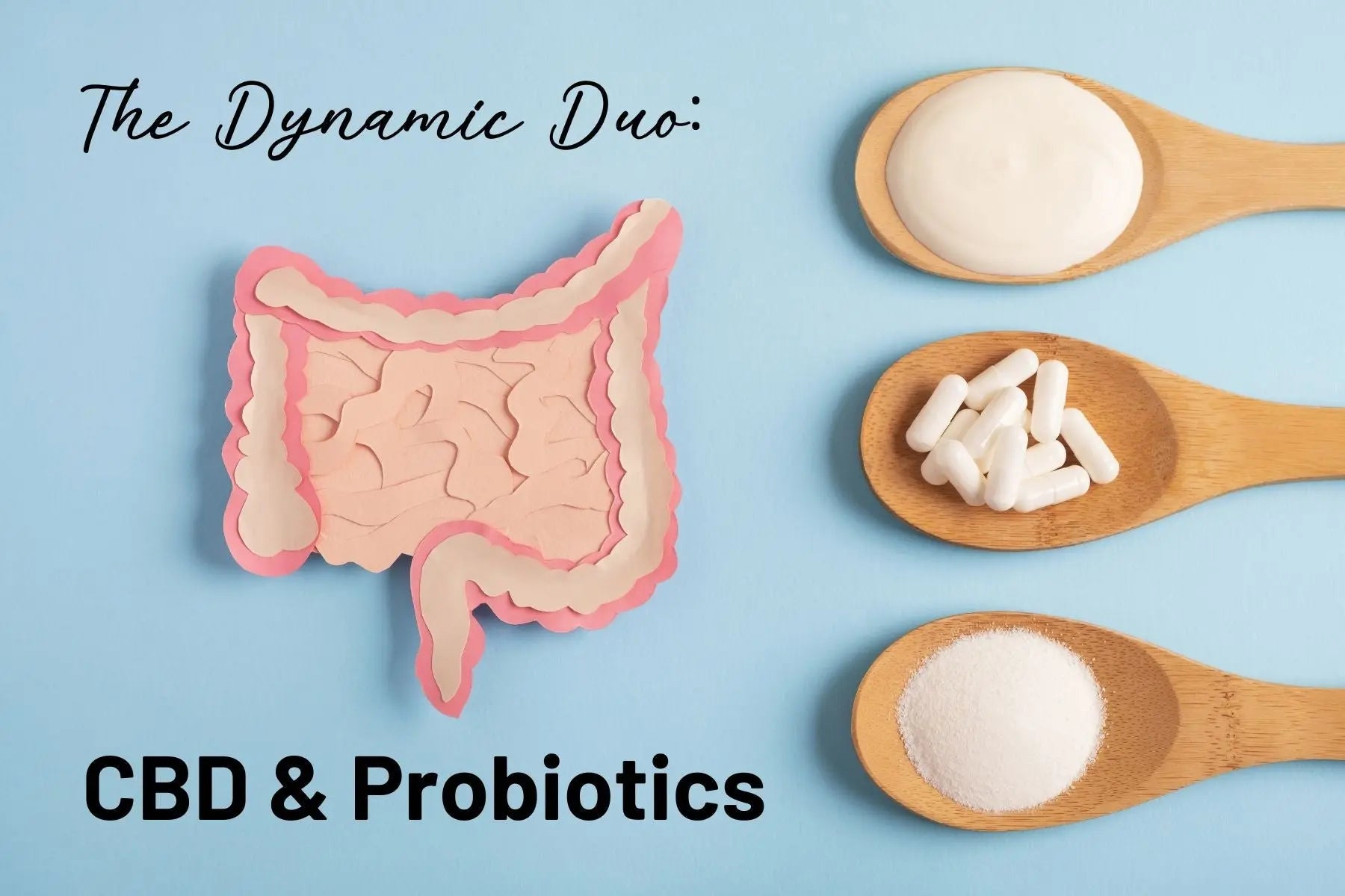 The-Power-of-CBD-and-Probiotics-A-Dynamic-Duo-for-Optimal-Health Mother Earth Natural Health