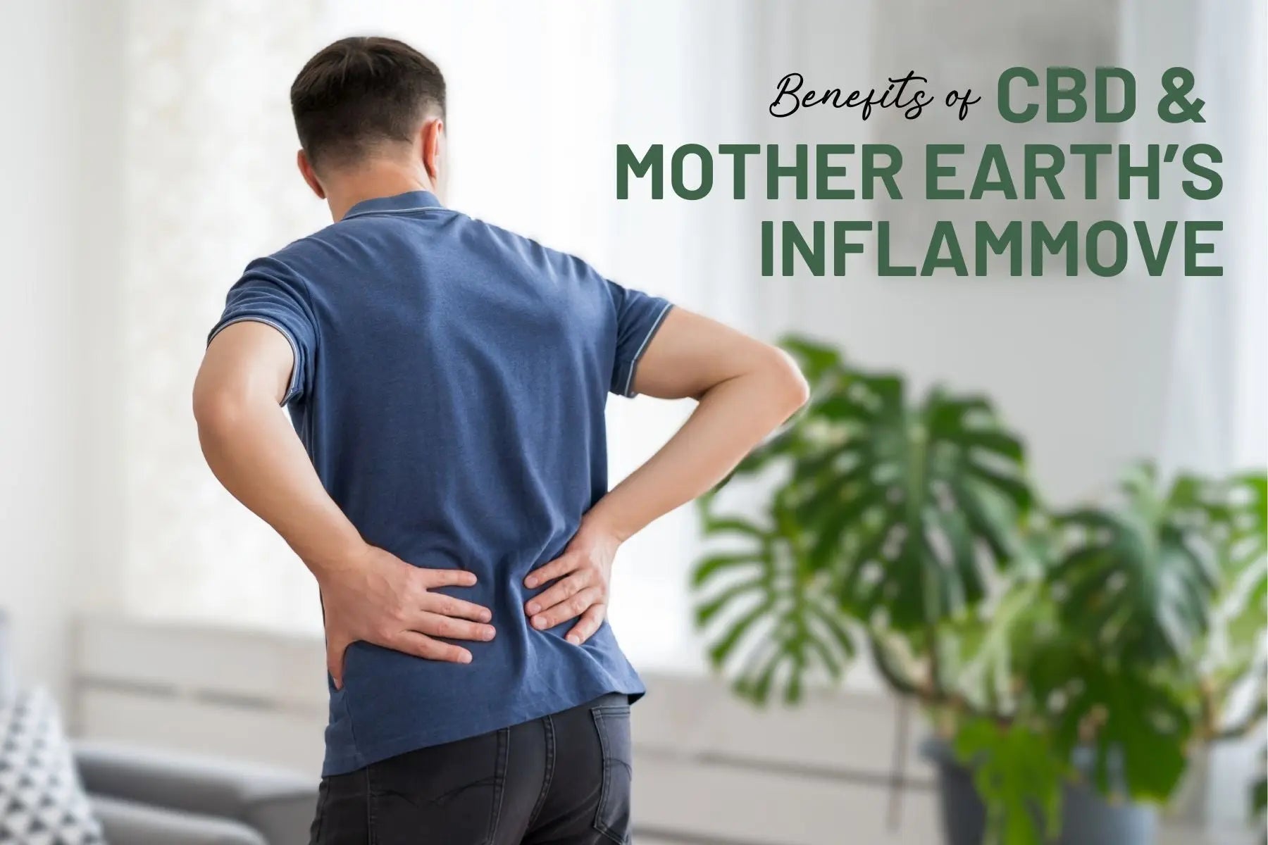 Exploring-the-Power-of-CBD-and-Mother-Earth-s-InflamMove-Supercharge-Your-Anti-Inflammatory-Relief Mother Earth Natural Health