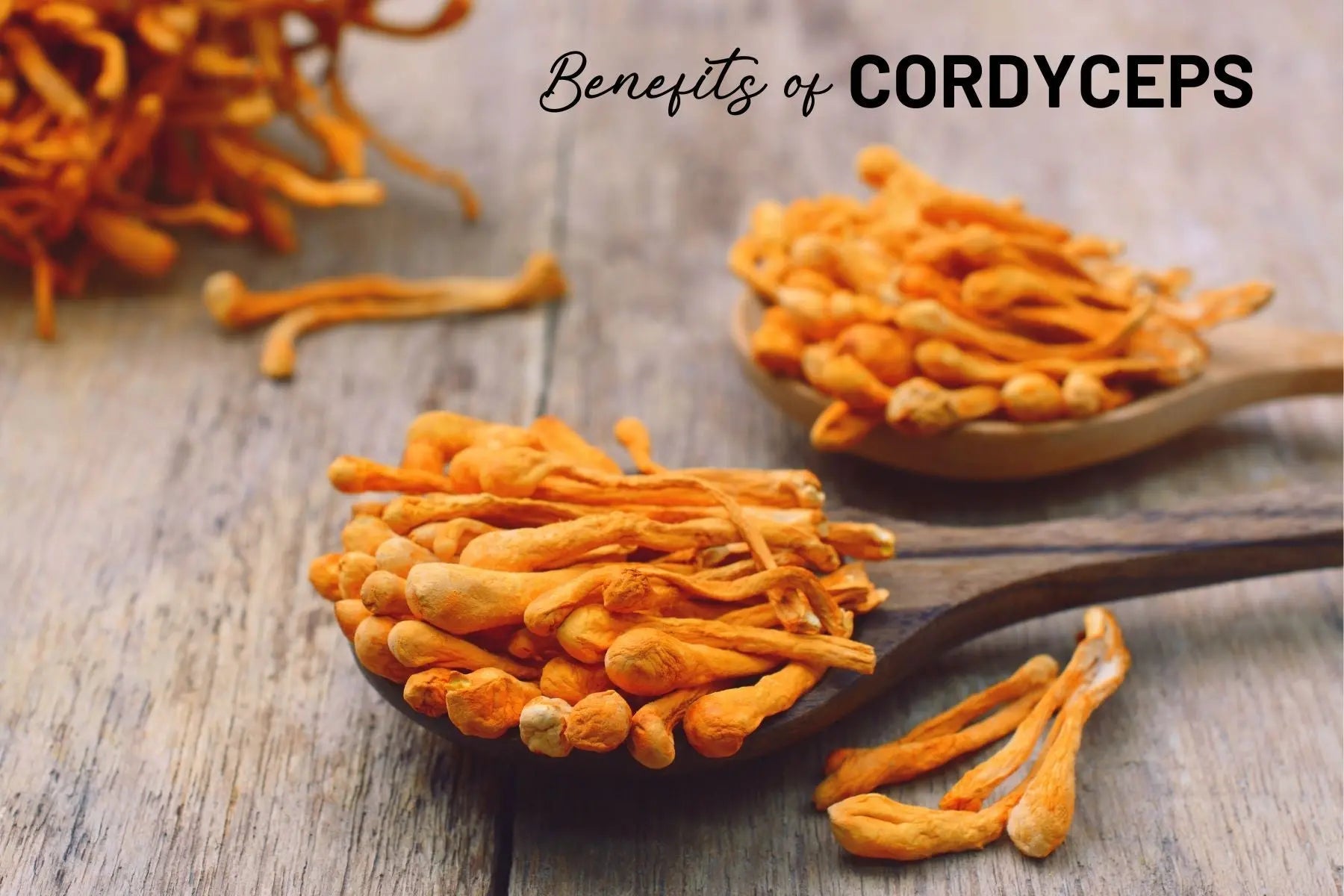 Boost-Your-Inner-Energy-with-Cordyceps-The-Mushroom-Capsules-for-a-Vibrant-Life Mother Earth Natural Health