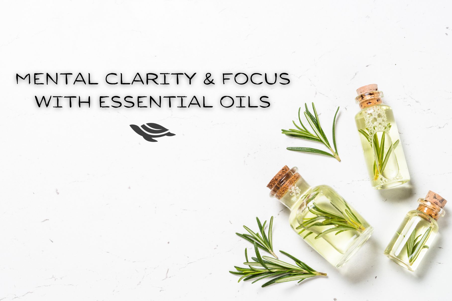 Enhance Mental Clarity and Stay Focused with these Must-Have Essential Oils