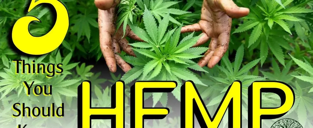 5-Things-You-Should-Know-About-Hemp Mother Earth Natural Health