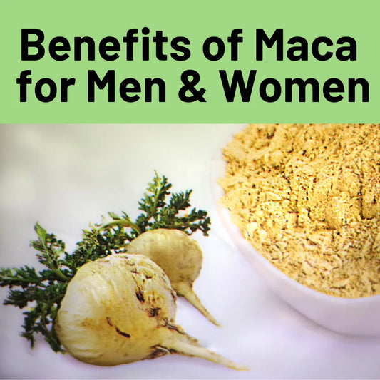 Benefits-of-Maca-Supplements-For-Men-Women Mother Earth Natural Health