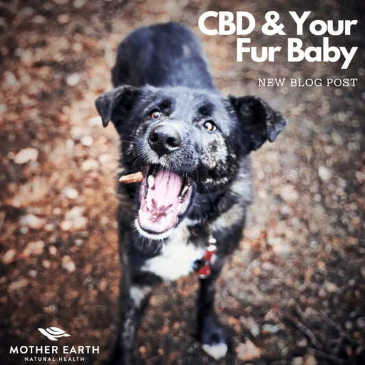 CBD-For-Your-Pets Mother Earth Natural Health