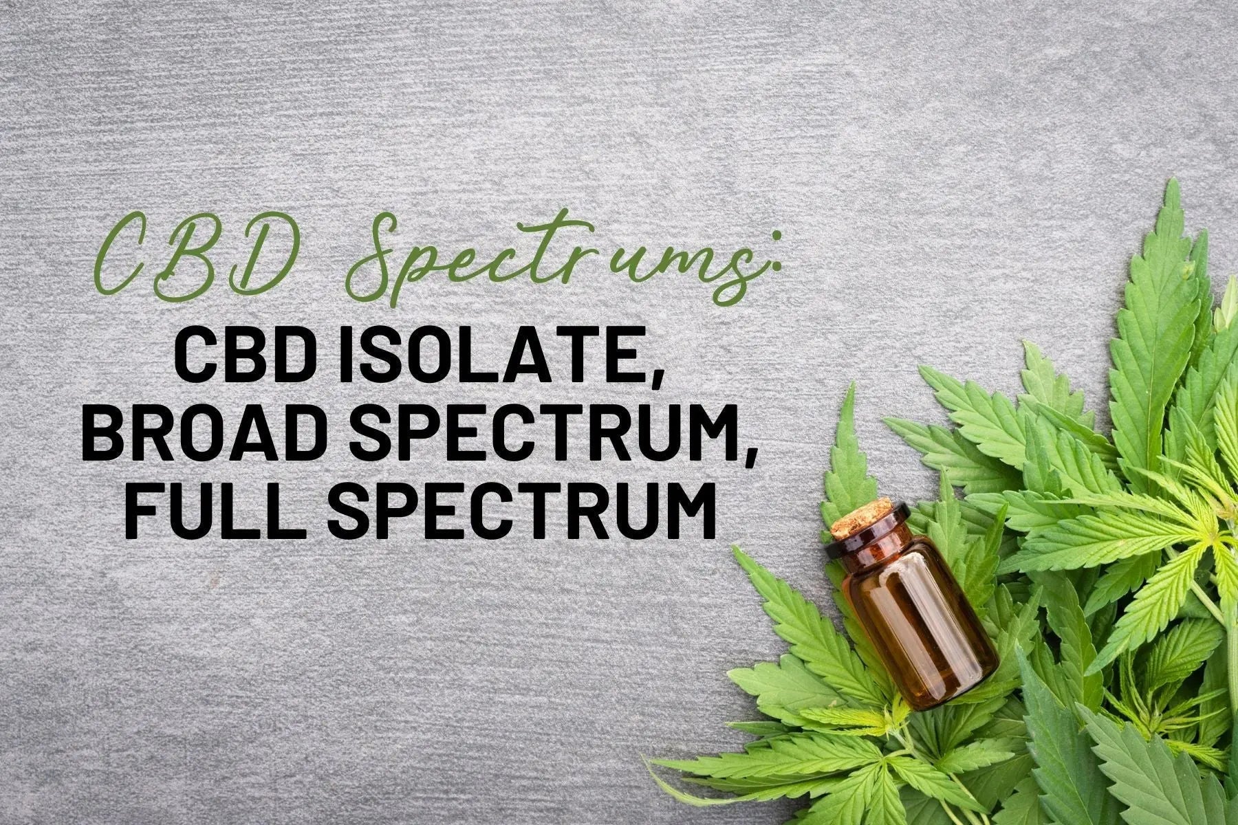 The-Difference-Between-Isolate-Broad-and-Full-Spectrum-CBD Mother Earth Natural Health