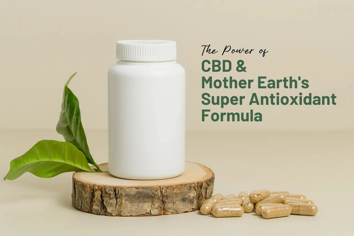 Maximizing-the-Power-of-CBD-and-Mother-Earth-s-Super-Antioxidant-Formula-Tablets-A-Match-Made-in-Heaven Mother Earth Natural Health