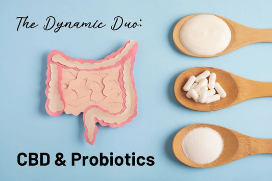 The-Power-of-CBD-and-Probiotics-A-Dynamic-Duo-for-Optimal-Health Mother Earth Natural Health