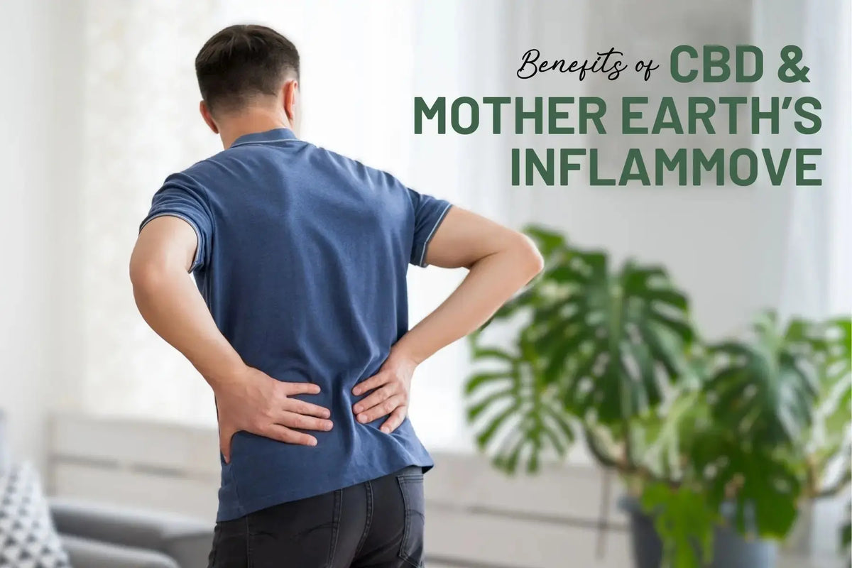 Exploring-the-Power-of-CBD-and-Mother-Earth-s-InflamMove-Supercharge-Your-Anti-Inflammatory-Relief Mother Earth Natural Health