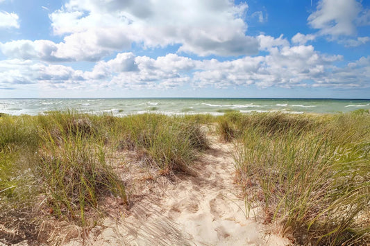 Unveiling-the-Hidden-Gems-10-Fascinating-Facts-About-Michigan Mother Earth Natural Health