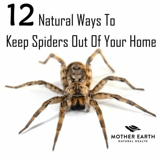 Keep-Spiders-At-Bay-the-Natural-Way Mother Earth Natural Health
