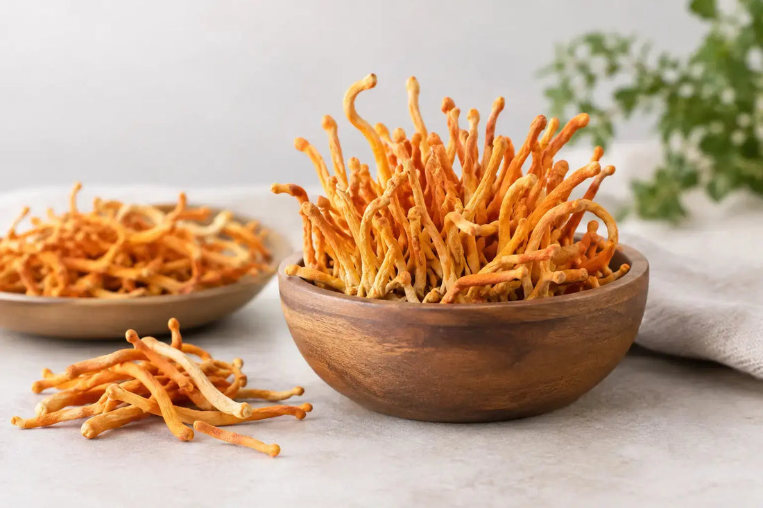 Benefits of Cordyceps Functional Mushrooms