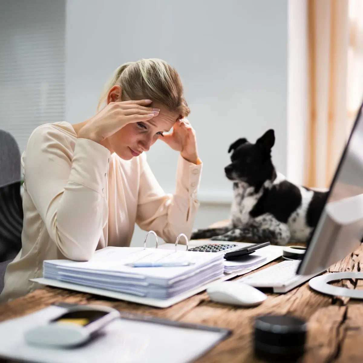 Is-Your-Stress-Rubbing-Off-on-Your-Pup-The-Surprising-Link-Between-Human-and-Canine-Anxiety Mother Earth Natural Health