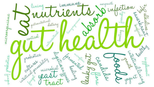 Gut-Health-To-Support-A-Sense-Of-Calm Mother Earth Natural Health