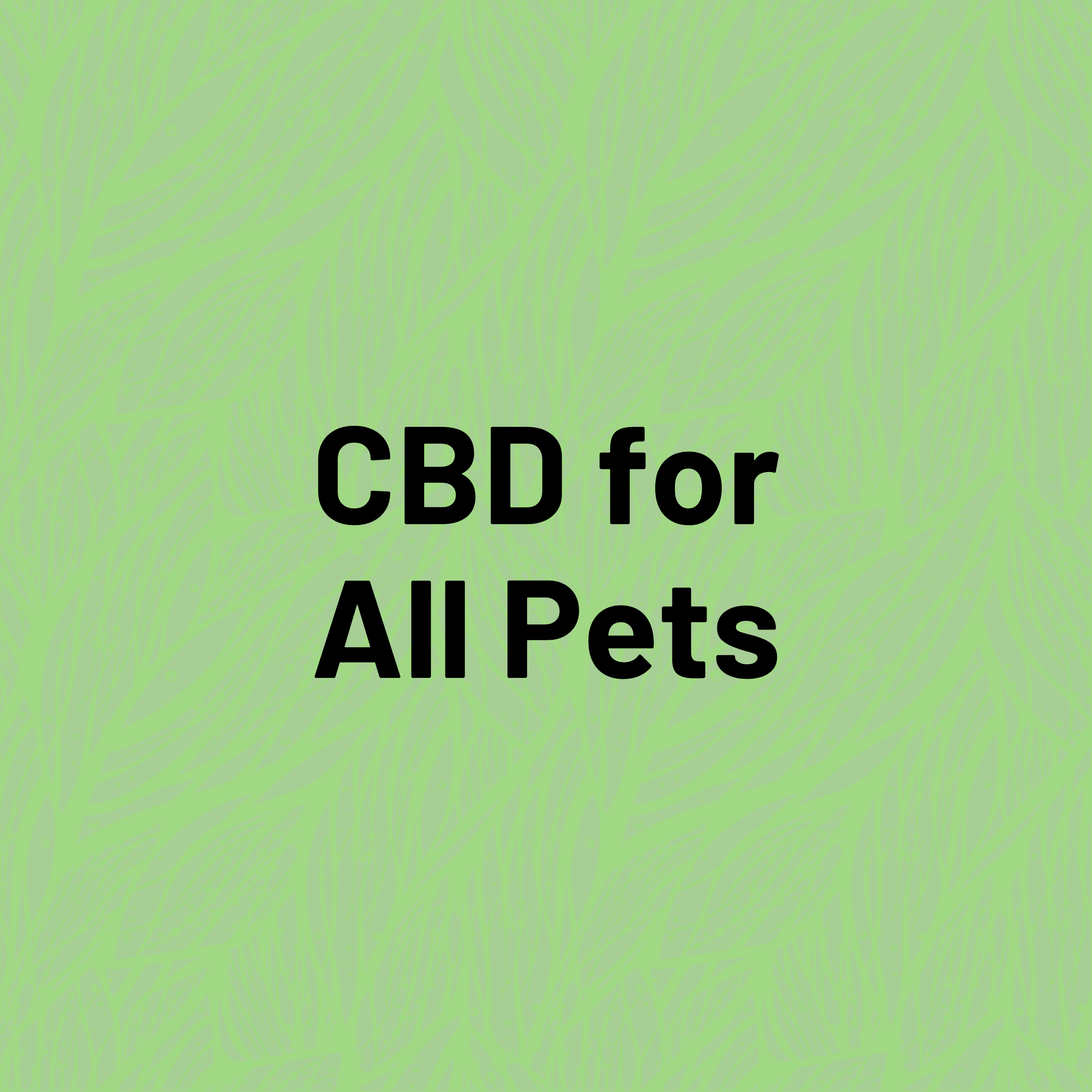 Mother Earth Natural Health CBD for Pets oils and treats for dogs, cats, horses, birds, and small animals.
