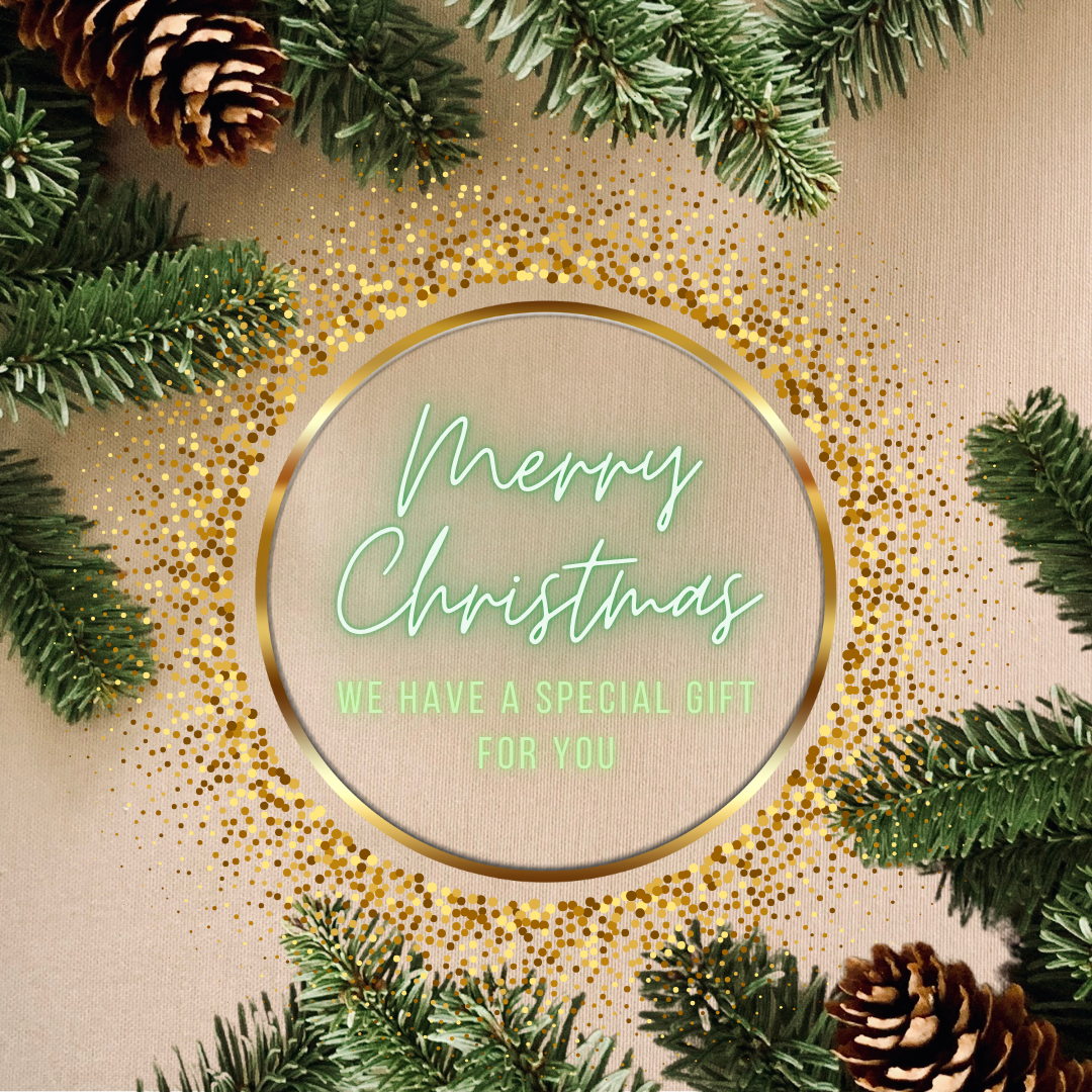 A Special Holiday Gift