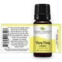 Plant Therapy Essential Oil - Ylang Ylang Complete My Store