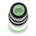 Plant Therapy Essential Oil - Rosemary 1,8-Cineole My Store