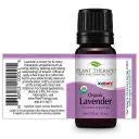 Plant Therapy Essential Oil - Lavender - Organic My Store