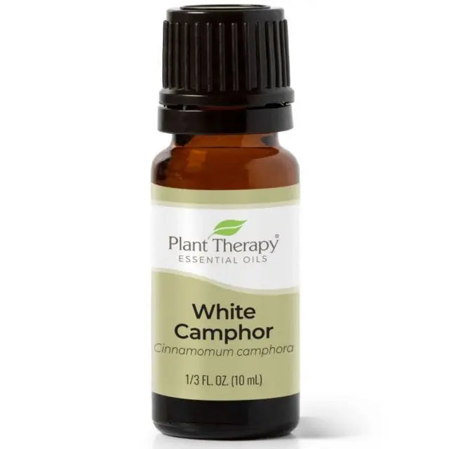 Plant Therapy Essential Oil -  Camphor, White My Store