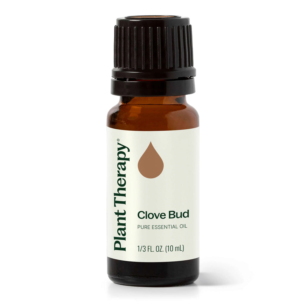 Plant Therapy Essential Oil - Clove Bud 10ml