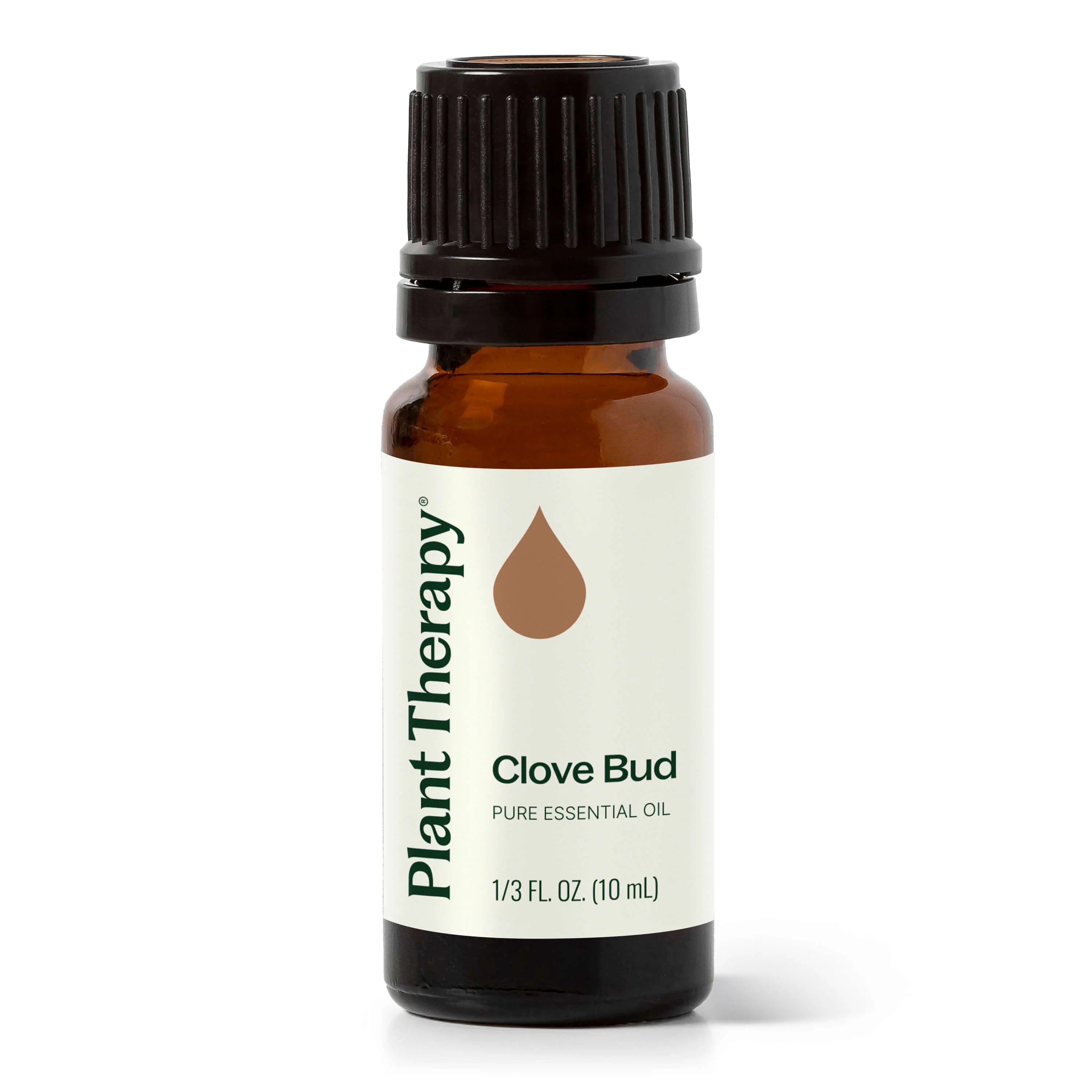 Plant Therapy Essential Oil - Clove Bud 10ml
