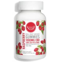 WYLD CBD - CBD Gummies - Raspberry - 25mg CBD per gummy