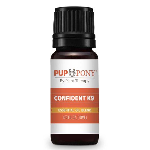 Essential Oils for Pets