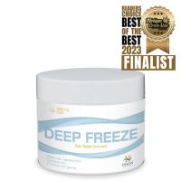 Huron Hemp - CBD Deep Freeze Pain Relief Ointment - 2oz