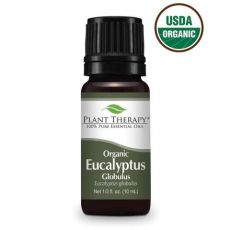 Plant Therapy - Eucalyptus Globulus Essential Oil - Organic