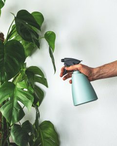Homemade Plant Spray